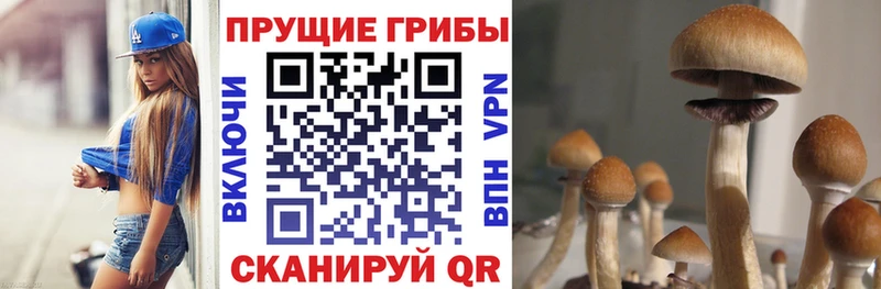 Галлюциногенные грибы MAGIC MUSHROOMS  OMG ССЫЛКА  Поронайск 